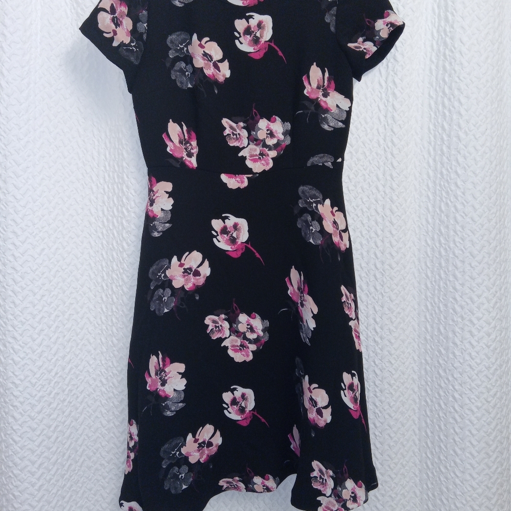 Talbots Black Rose Floral Below Knee Dress With Lining Size 2
